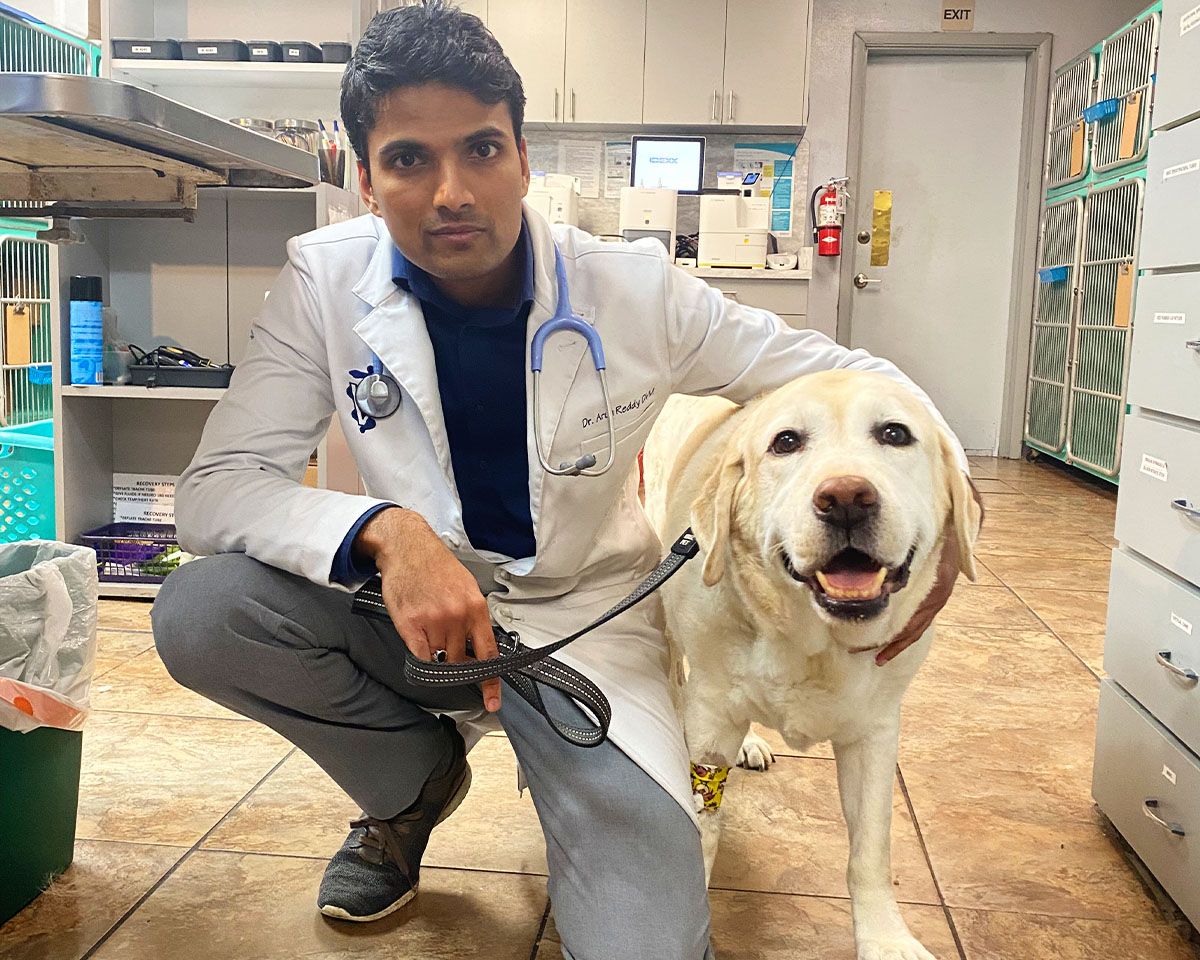 dr arun with happy dog at union park animal hospital