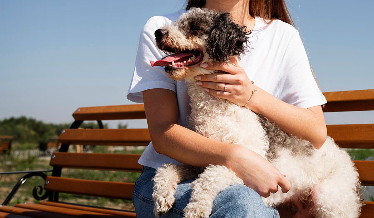 happy-adopted-dog-spay-neuter