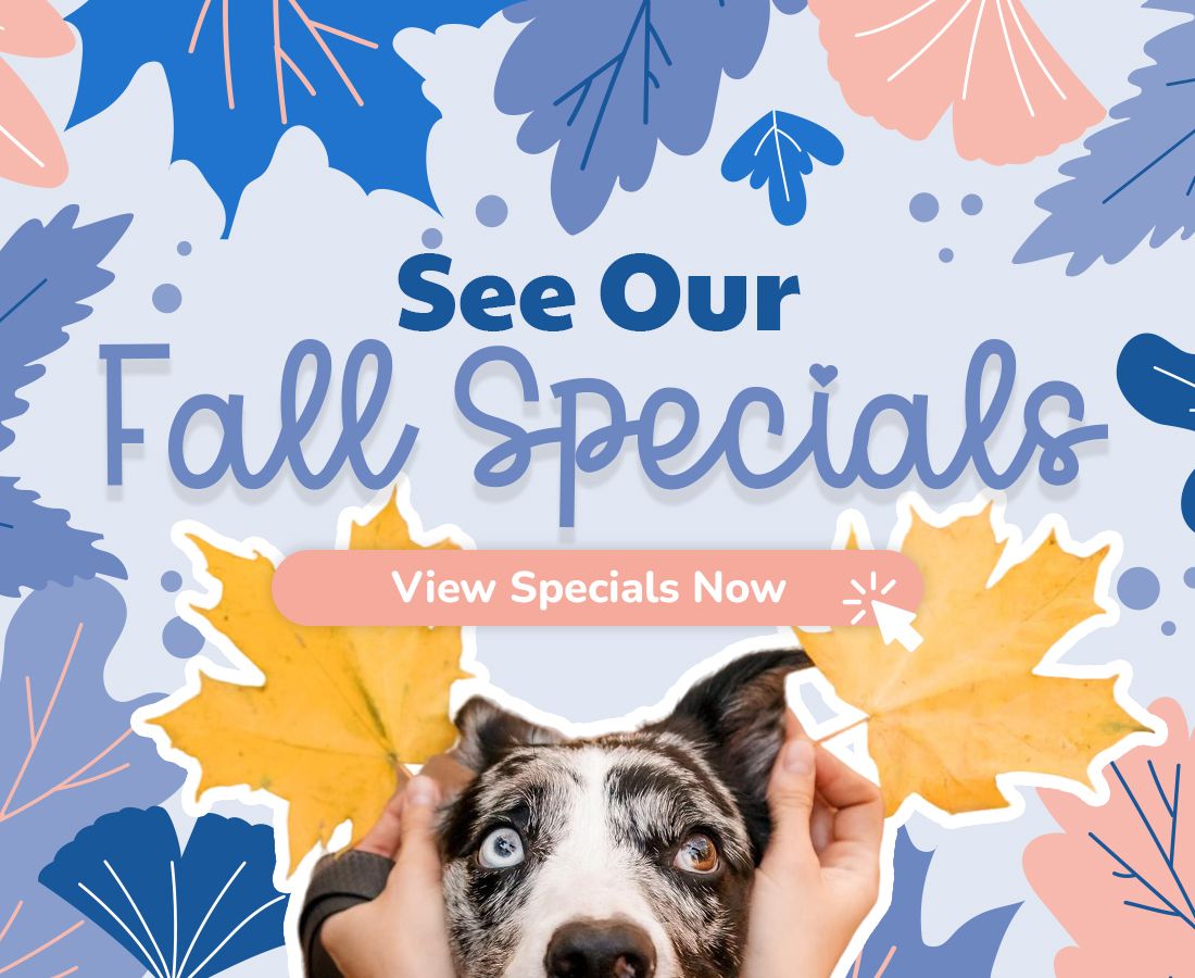 See Our Fall Specials
